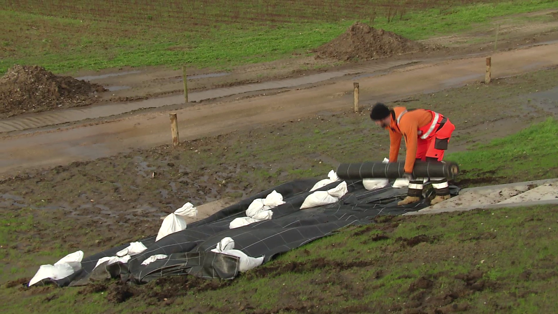 Hoogwater: Dijkversterking in Beesel