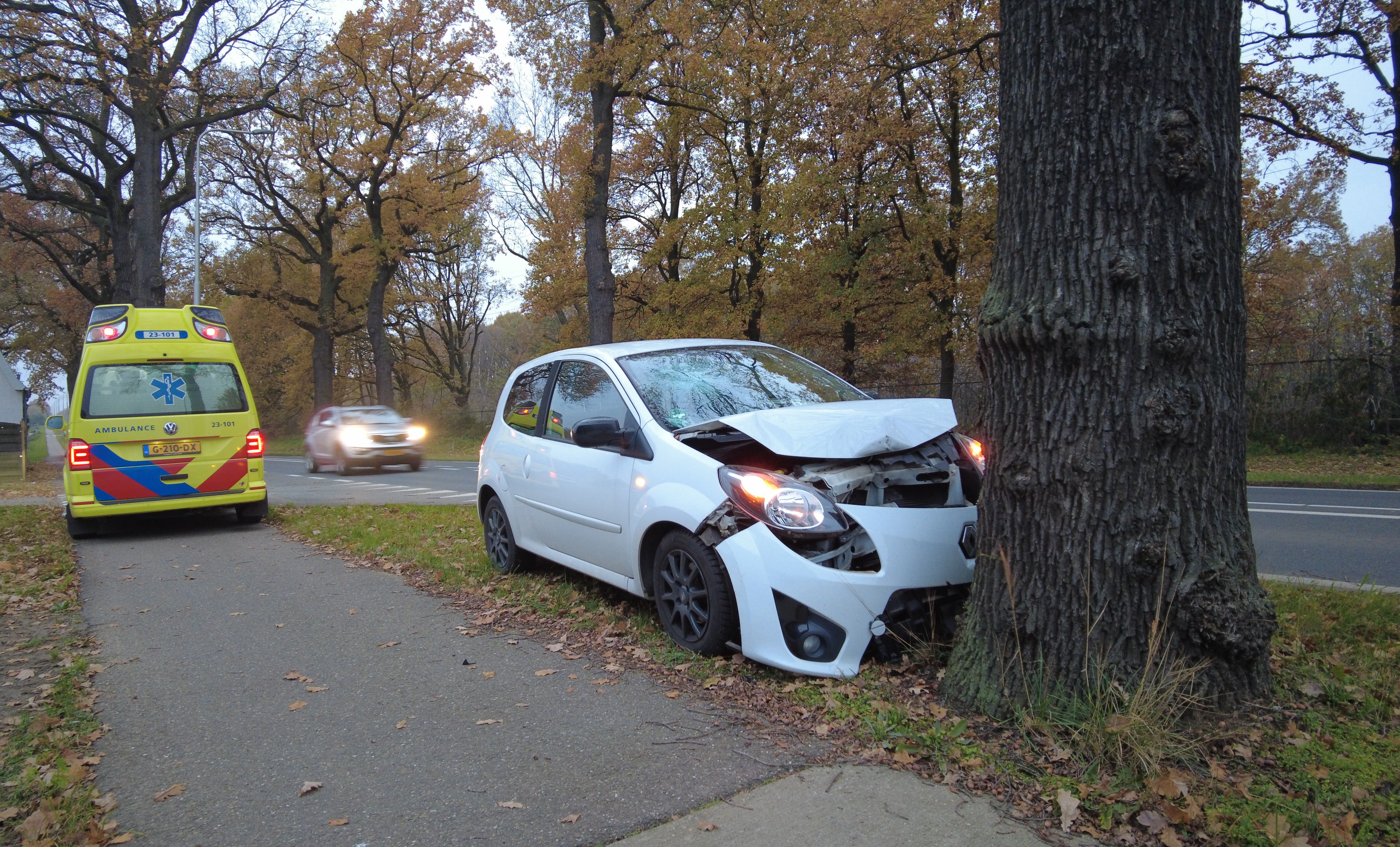 Auto botst tegen boom tussen Linne en Herten